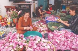 Trà hương ngày tết