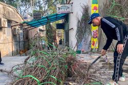 Chiều 30 Tết: Đào, quất hạ giá không ai mua, tiểu thương ấm ức chặt bỏ