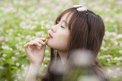 Tết đa sắc của 'FA'