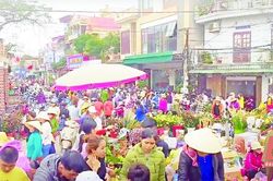 Chợ Tết Diêm Phố