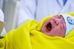 Chào đón 'thiên thần' đầu tiên của năm Quý Mão