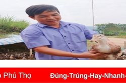 Đặc sản xuống phố