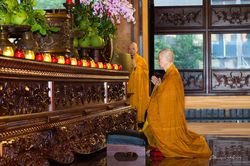 Đức Pháp chủ GHPGVN khai thị đầu xuân Quý Mão: Mùa xuân miên viễn