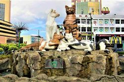 Kuching - 'Thành phố của mèo' tại Malaysia