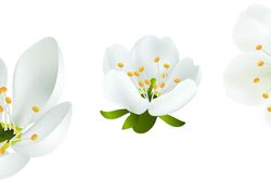 Niềm yêu của anh