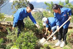 Tết trồng cây gắn với 'kiến trúc xanh'
