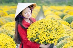 Ngả đầu vào Xuân…