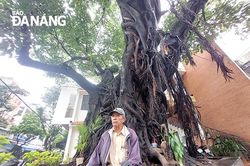 Mươi bước chân một bảo tàng sống