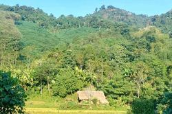 Cuộc sống thay da đổi thịt ở bản 'nhiều không' giữa đại ngàn