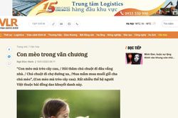 Mèo lại hoàn mèo và câu chuyện đạo văn năm Quý Mão