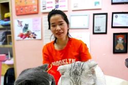 Giới trẻ phố núi khởi nghiệp với những chú mèo
