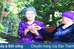 Chè Sánh Lược và chuyện bà chúa chè trên đất Yên Trường - Vạn Lại xưa