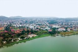 Đời sống Kinh nghiệm xanh rì rào...