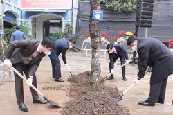 Quận Thanh Xuân: Tuyên truyền về lợi ích của việc trồng cây xanh