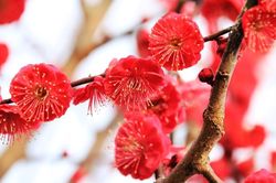 Tử vi hôm nay 27/1/2023 của 12 cung hoàng đạo