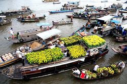 Khúc hát những dòng sông