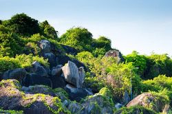 'Ngọn đồi 2 triệu đô' định hướng phát triển du lịch bền vững