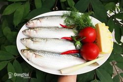 Mặn mà cá, tôm... nước lợ