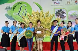 Những chiếc lá 'triệu đô'