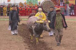 Lễ hội Tịch điền Đọi Sơn Xuân Quý Mão 2023