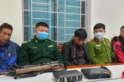 Tìm người thông thạo đường rừng để... vận chuyển ma túy