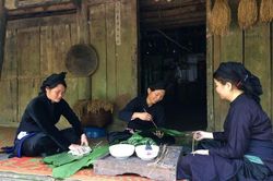 Đặc sắc bánh chưng đen
