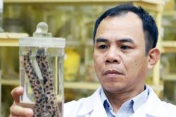 Kỳ công nghề thu mẫu vật, dựng tiêu bản ở Viện Hải dương học Nha Trang