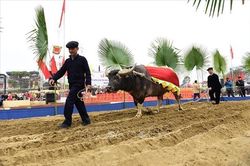 Nô nức Lễ hội Lồng Tông - Ngày hội xuống đồng của dân tộc Tày tại Tuyên Quang