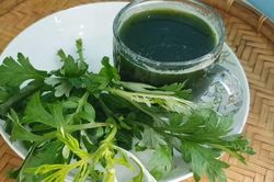 Lợi ích bất ngờ của ngải cứu với sức khỏe, đặc biệt là với phụ nữ