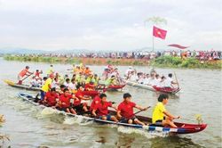 Đời sống Rừng xanh tóc trắng