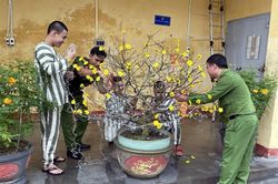 Tết ấm