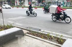 Hà Nội bố trí hàng ghế đá dưới cây hoa sữa cổ thụ