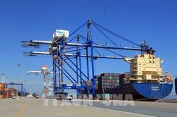 Hãng tàu liên tục cập cảng Hải Phòng trong dịp Tết
