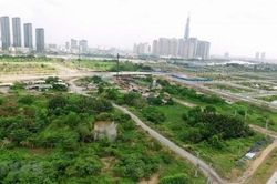 Chính phủ ban hành quy định giảm 30% tiền thuê đất, thuê mặt nước cho đối tượng bị ảnh hưởng Covid-19