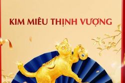 Cùng mèo vàng đón thần tài gõ cửa, phát lộc khai xuân, năm mới khởi sắc