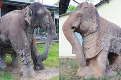 Cặp tượng voi đá gần nghìn năm tuổi ở Bình Định được công nhận bảo vật quốc gia