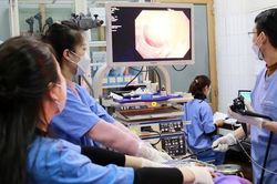 Gắp tăm tre 3 cm trong tá tràng người phụ nữ từ 30 Tết