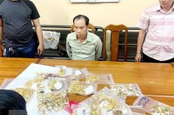 Bắt giữ đối tượng trộm hơn 100 lượng vàng trước ngày 'vía Thần Tài'
