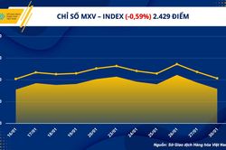 Lực bán mạnh trên thị trường năng lượng kéo chỉ số hàng hóa MXV-Index giảm nhẹ