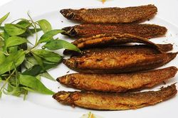 8 thực phẩm giàu canxi nhất, ăn hàng ngày sẽ khỏi cần uống thuốc