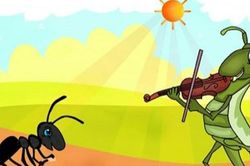Ngẫm từ câu chuyện văn hóa gây tranh cãi
