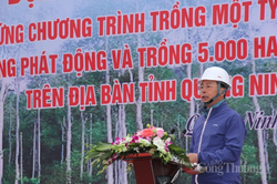 TKV: Trồng cây xanh, góp phần 'trung hòa các-bon'