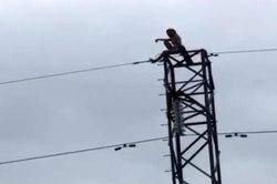 Tiền Giang: Giải cứu cô gái không quần áo ngồi trên cột điện cao thế