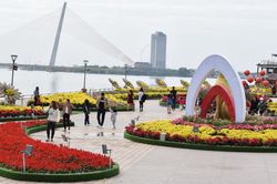 Kéo dài thời gian phục vụ các 'vườn' hoa xuân Quý Mão