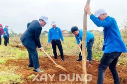 Bình Định: Huyện miền núi Vĩnh Thạnh phát động Tết trồng cây