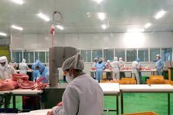 HAG khắc phục tình trạng cổ phiếu bị cảnh báo nhờ kinh doanh khởi sắc