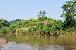 Sông Hồng ký sự - kỳ 2: Những bãi bồi biến hình