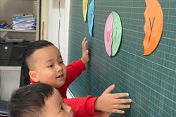 Lo con thi tuyển lớp 1 ngoài công lập