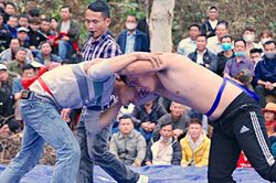 Nghìn người vây kín chân núi hò reo cổ vũ màn tranh tài trên sới vật