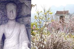 Trần Nhân Tông: Hoàng đế, Thiền sư và thi sĩ